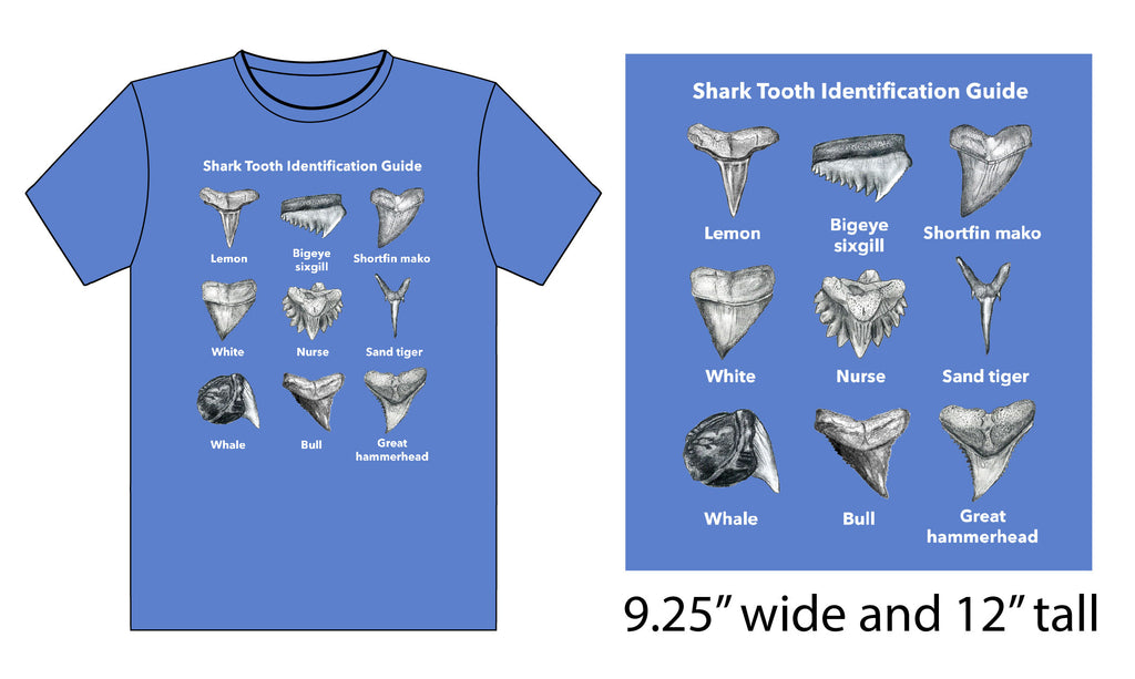 Children's Shark Tooth Identification T-Shirt