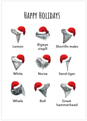Shark Tooth Identification Holiday Card