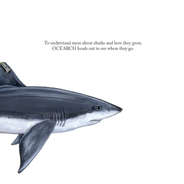 OCEARCH Sharks in the Ocean - Children's Book